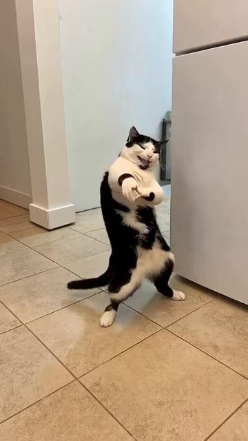 хочу сказать