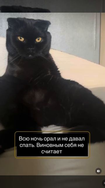 Понять и простить