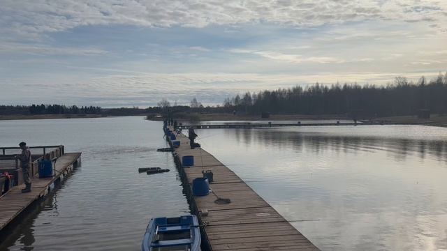 Запуск форели !!!