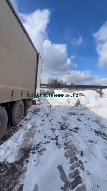 Кора Сибири Крупнейший B2B поставщик му́льчи