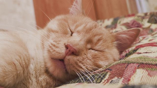 D9830eb00b7ffc09c2dfc44efa93ff2f