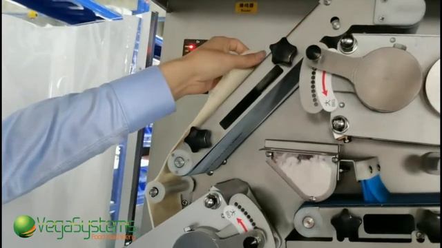 Машина для изготовления пельменей и вареников, промышленный пельменный аппарат Вега/Vega CHD 4100