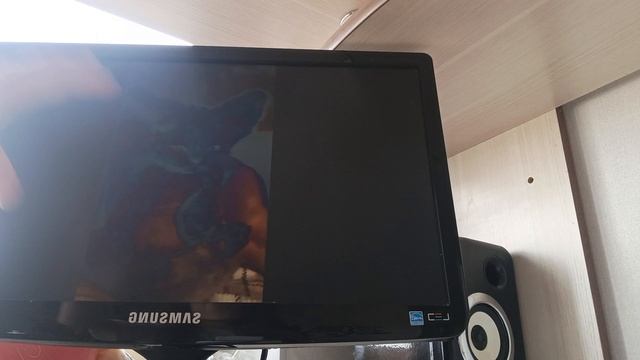 Ролики про котят.mp4