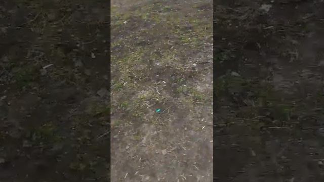 я иду домой