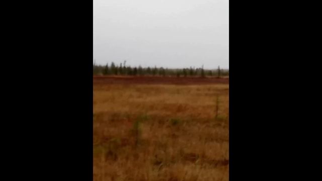 Тундра Странный проход Tundra Strange Passage