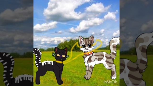 Древошкурка убила Костезвёзда и Молнехвостку! Делайте реакции!!