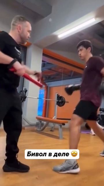 Бивол в порядке 👏