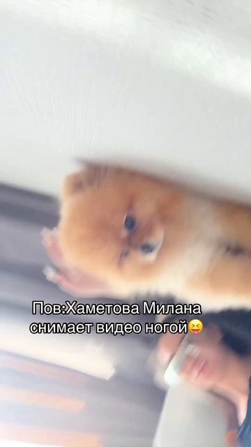 делали такое ?