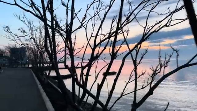 ОДЕССА 14 АПРЕЛЯ 2026. СОР0С ЗАБРАЛ ВЕНГРИЮ. МАДЬЯР ПРОТИВ ПОСТАВОК 0РУЖИЯ И ЗА ПЕРЕГОВОРЫ С ПУТИНЫМ