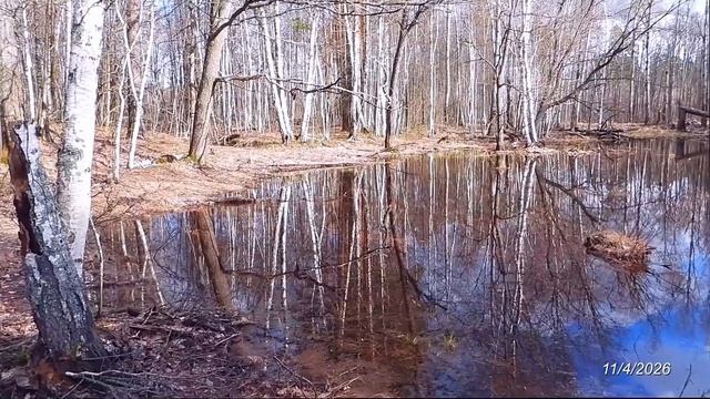 2026/4/11: Заливной луг за Красными озёрами - часть 1-я (версия без доп. стабилизации)