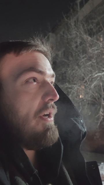 странный юмор #птица #андрей #курсор #странное #смешное