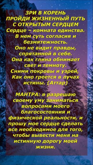 ЗРИ В КОРЕНЬ. ПРОЙДИ ЖИЗНЕННЫЙ ПУТЬ С ОТКРЫТЫМ СЕРДЦЕМ