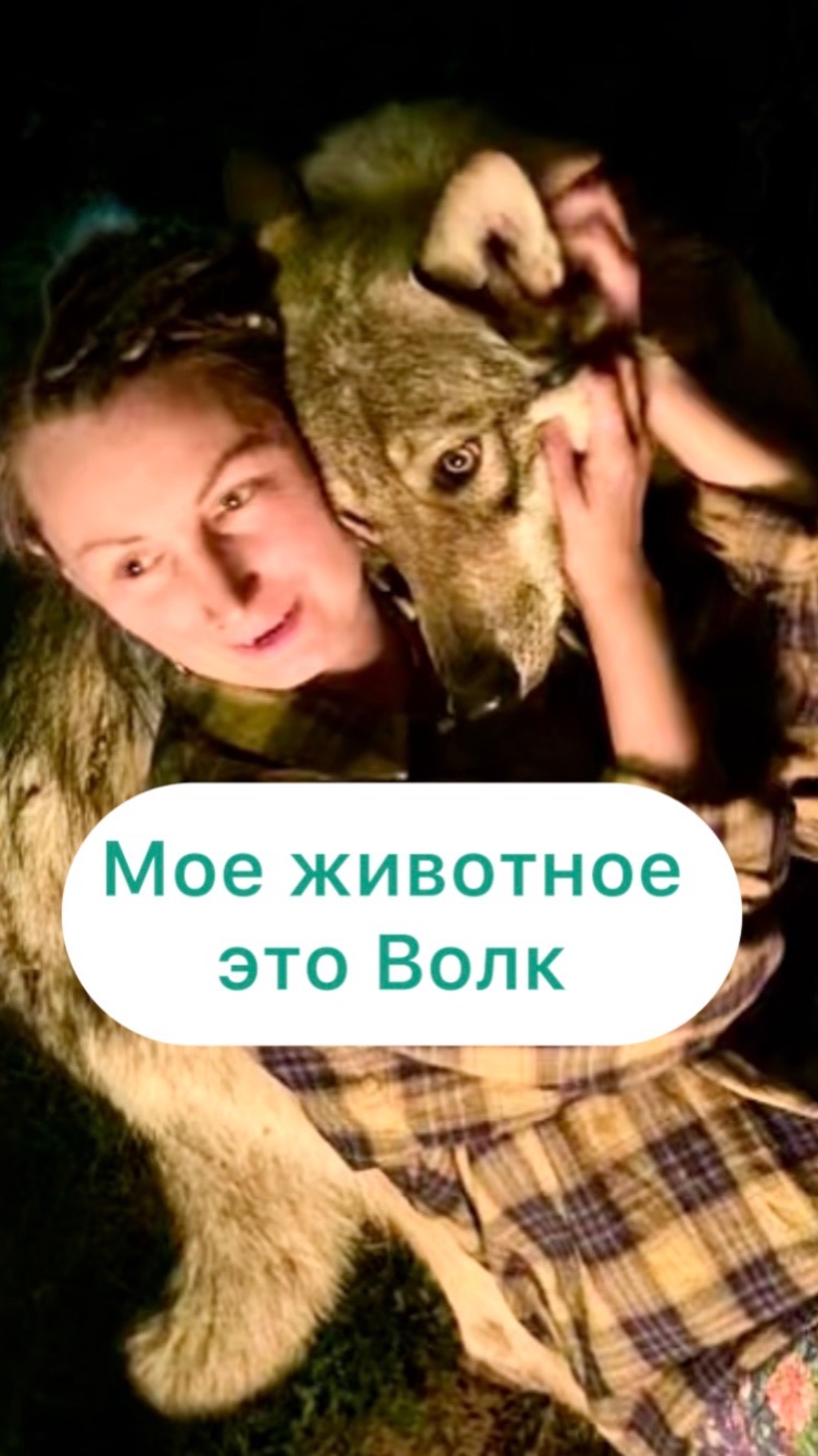 Я люблю волков