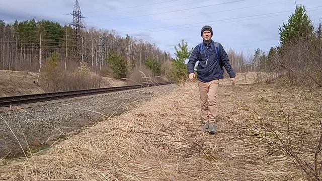 Прогулка по весеннему лесу вдоль железной дороги (короткая версия).