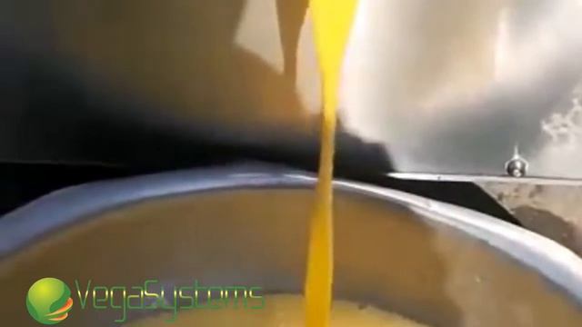 Машина для разбивания яиц и смешивания яичного желта и белка Вега/Vega Egg Peeler H15000