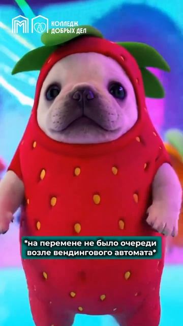 Счастье — в мелочах