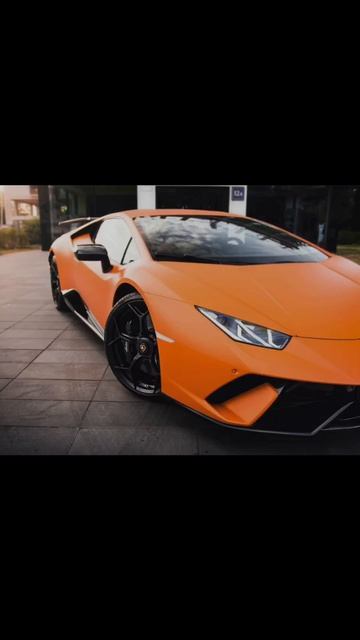 А вы бы что выбрали