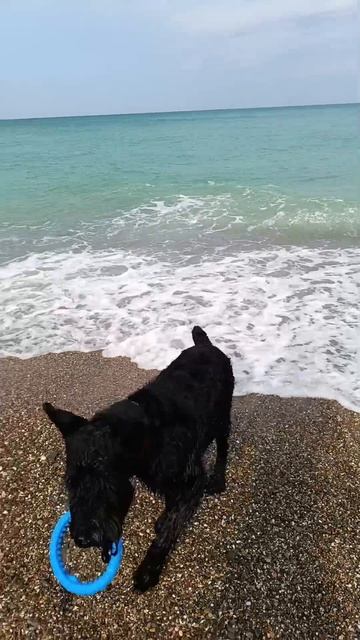 Video.Guru_20240817_174445170