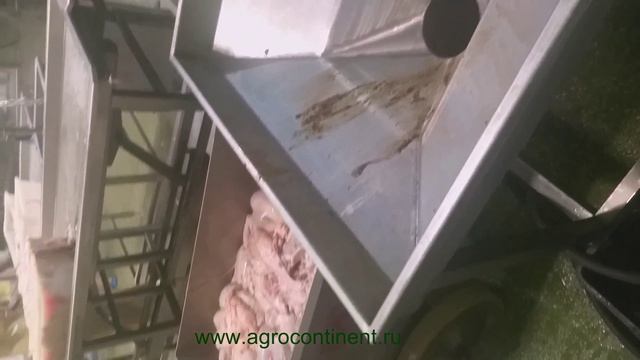 Пищевой, конвейер пневматический