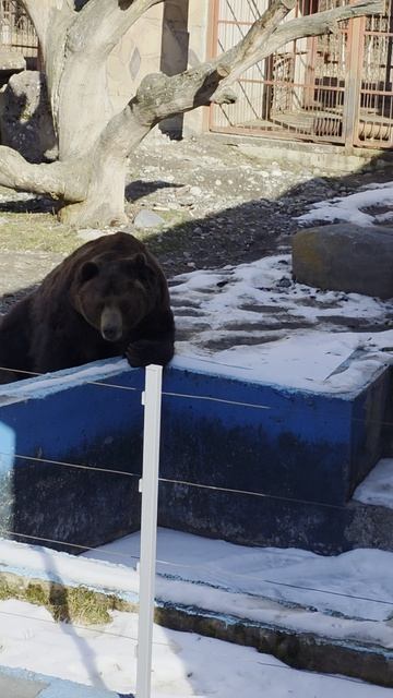 2a5d91347bf4f3819d63506d70ed13cb