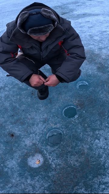 лещ не дает поставить палатку