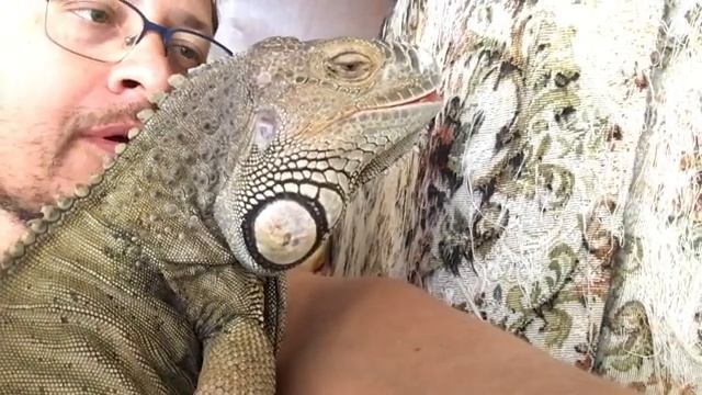 Поцелуй с драконом ❤️🦎