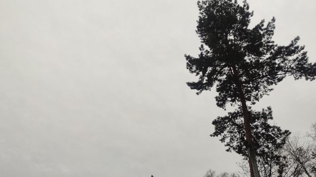 14 апреля там где волшебник нет дождя...