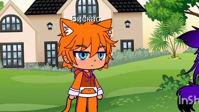 (название украл бискас)