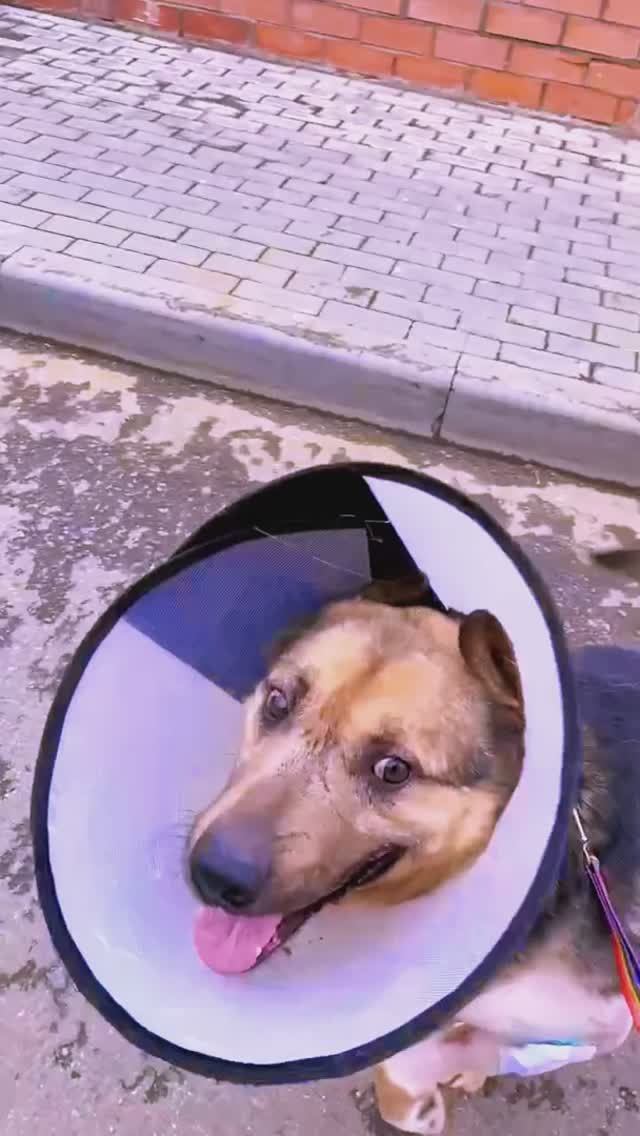 F577132dabfc88a186b76e0497449782