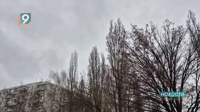 Синоптики назвали 14 апреля самым холодным днём этой недели