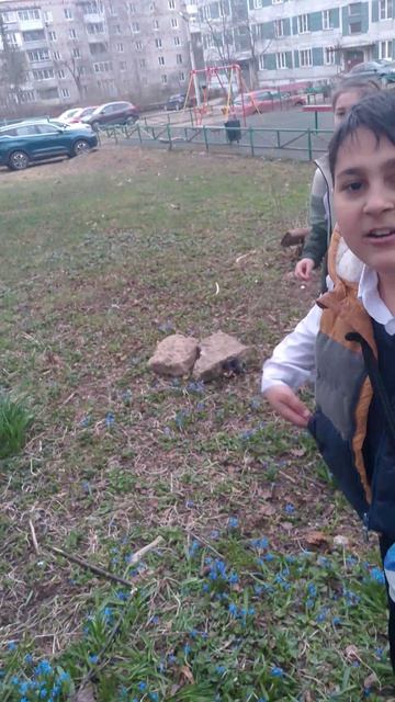 ЦВЕТОТЬКИИИИ