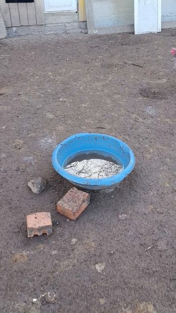 С утра пораньше у кур 🐔🐓 и гусей 🪿