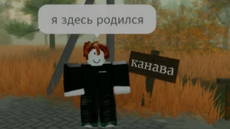 лечим хамичелу