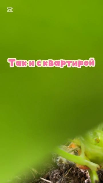 copy_07720CCC-F713-4AC1-993F-7D6B06DBB469