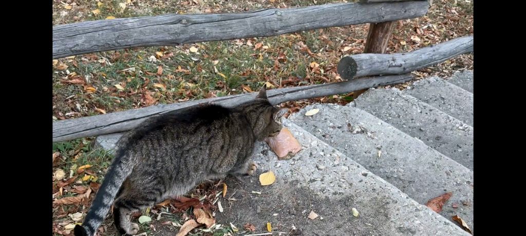 собираю рюкзак