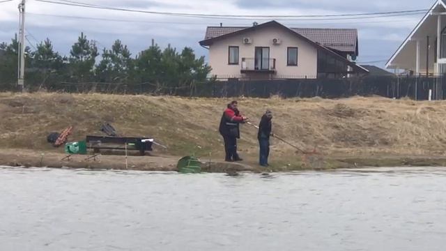 поимка форели на спиннинг