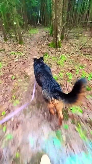 4283749b7d1f1ace4da0034aa76b7497