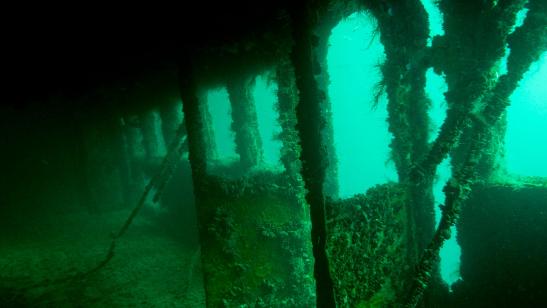 Трагедия Черного моря.Теплоход