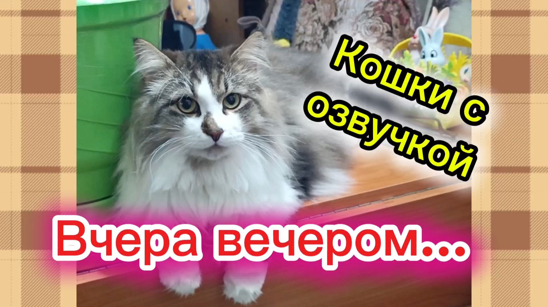 КОШКИ С ОЗВУЧКОЙ.