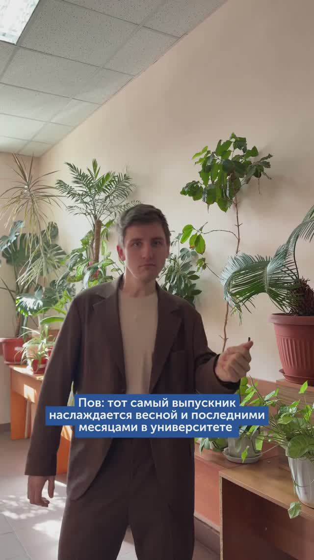 Как ощущается та самая последняя весна в универе