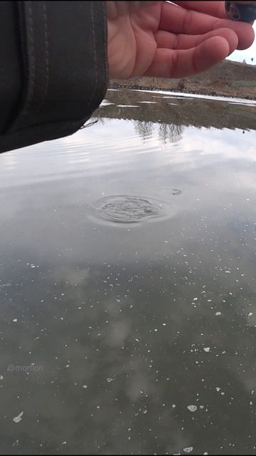 ОНА ТАК ПРОСТО не  СДАСТСЯ. Спиннинг в дугу. рыбалка