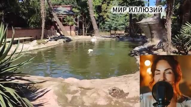 Швабра с дипломом