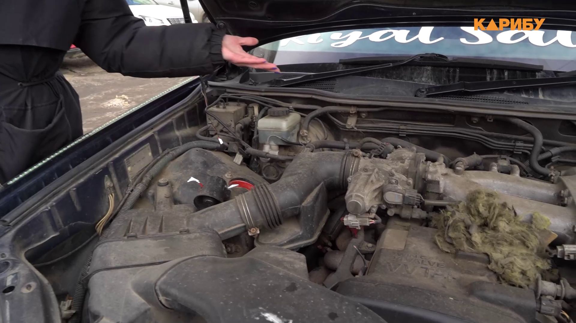 Крысиные логова под капотом и кишащие грызунами мусорки: магаданцы жалуются на неприятное соседство