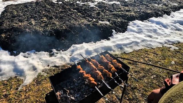 Берёзовый сок, шашлык, встречаем весну