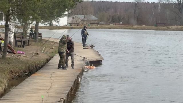 поимка форели на спиннинг