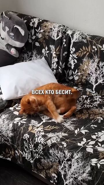 Автор видео: Valovnick