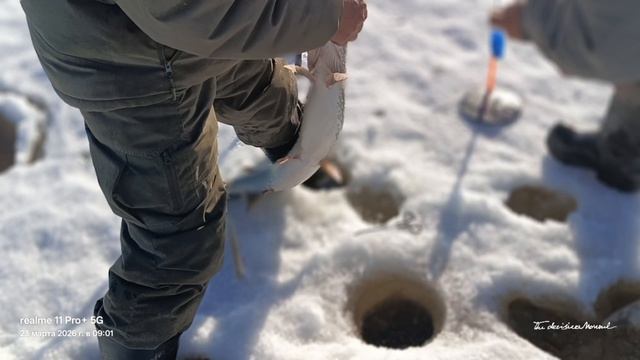 На зимней рыбалке на Белом озере, март 2026.