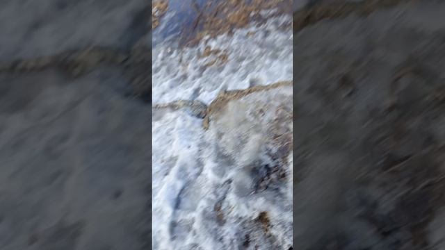 выживание от Киры | сериал ОПЕРАТОРЫ 5 серия