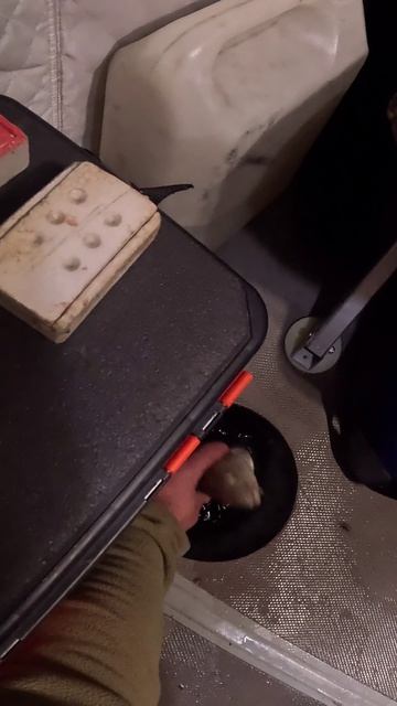 Клёвая ночь