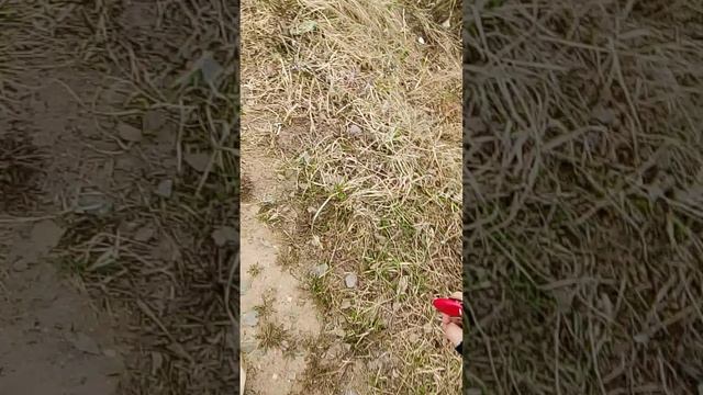 история как я шла домой ( в трёх тястях) Сирия:1вая